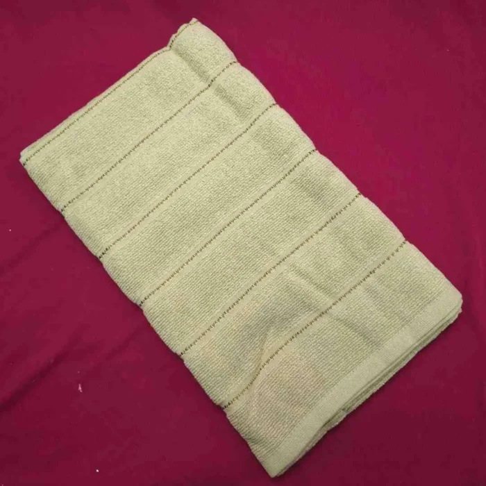 BreezeDry Quick Drying Travel Towel (Mint Green)