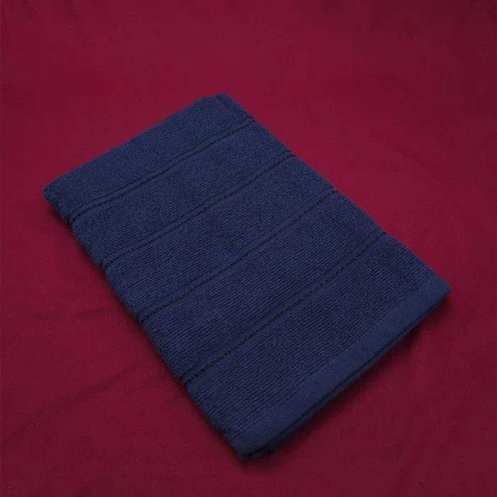 AbsorbPlus Ultra Absorbing Travel Towel (Navy)