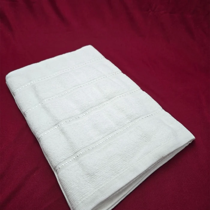 AbsorbPlus Ultra Absorbing Travel Towel (White)
