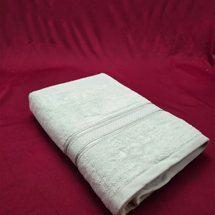 Lavish Essence Premium Cotton Bath Towel (Glacier)